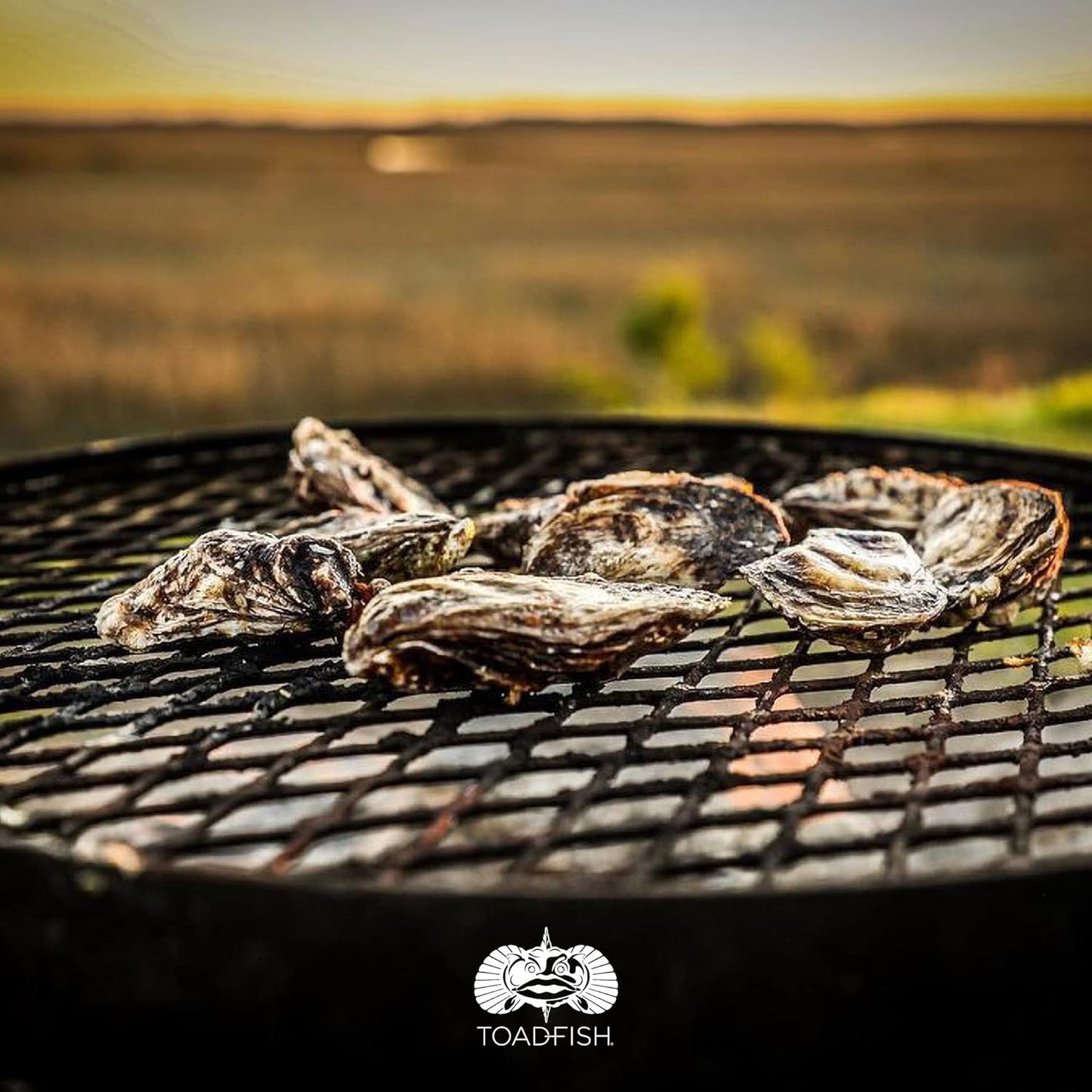 Coastal Kitchen Collection - Includes Crab Cracker, Shrimp Deveiner, and Oyster Knife Outfitters